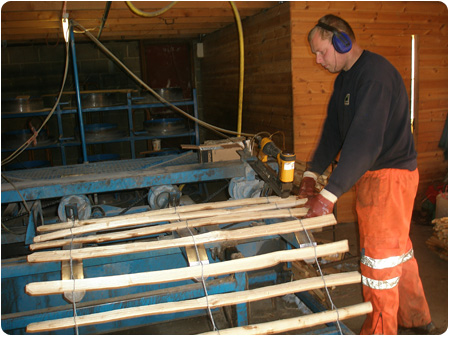 Chestnut Fencing & Posts